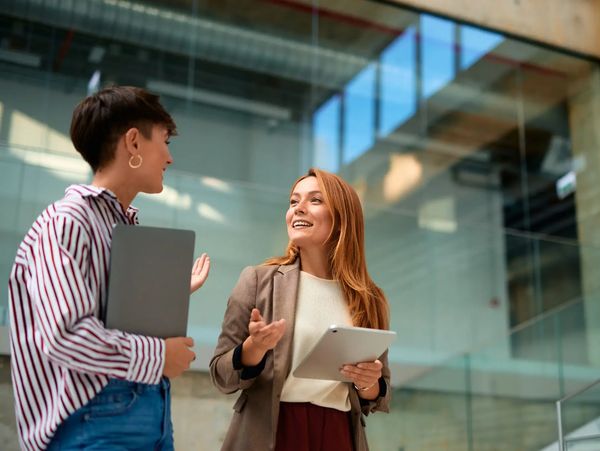 Two colleagues discussing a project.