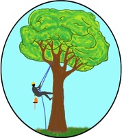 Milwaukee Tree Climber
