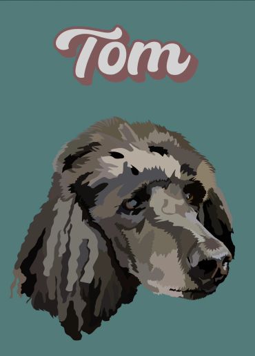 Stylized illustration of a dog named Tom.