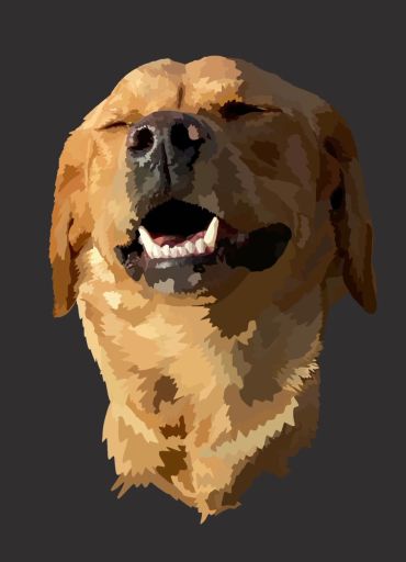 Happy dog smiling with closed eyes.