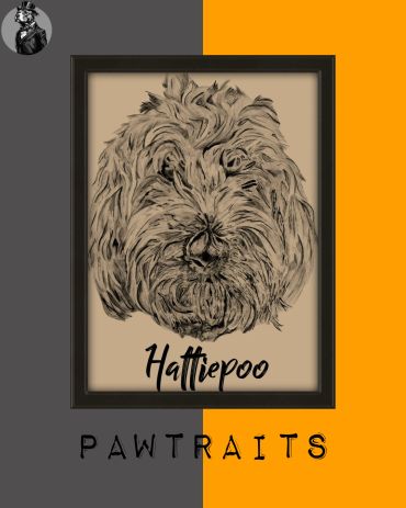 Sketch portrait of a dog named Hattiepoo.