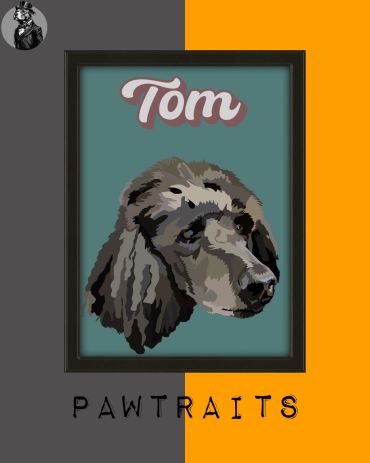 Illustrated dog portrait named Tom with 'PAWTRAITS' text.