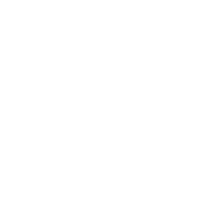 Lola Vision Systems