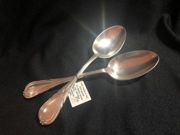 LILY PATTERN
Electroplated Silver
Pair of Tablespoons
SN 103740-0
