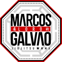 MLG Jiu Jitsu Academy facility image