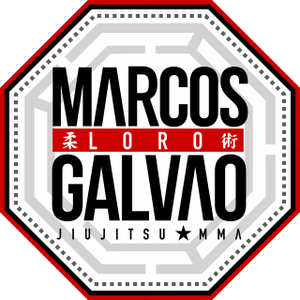 MLG Jiu Jitsu Academy facility image