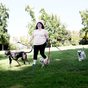 Kathleen Miner, Dog Walker, walking three glorious dogs!