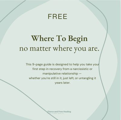 Guide for recovery from narcissistic or manipulative relationships.