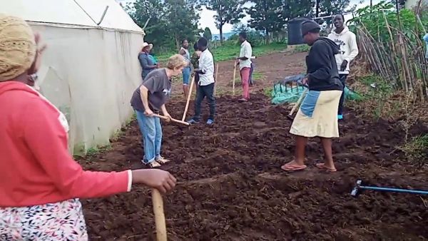 FARMING AT THE ORPHANAGE IN CENTRAL KENYA