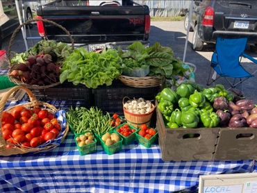 Fenelon Falls Farmers Market, O'Brienview Organic Meats and Vegetables.