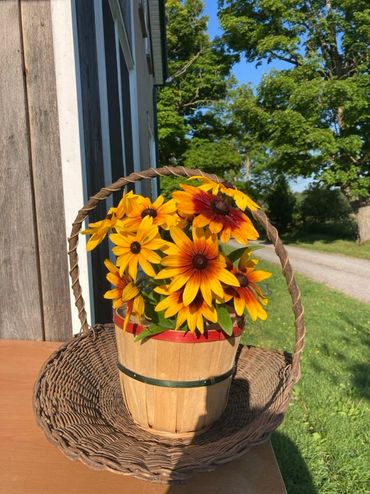 wild flowers at O'Brienview Organic Farm