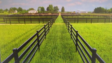 Buckley fence, horse fence