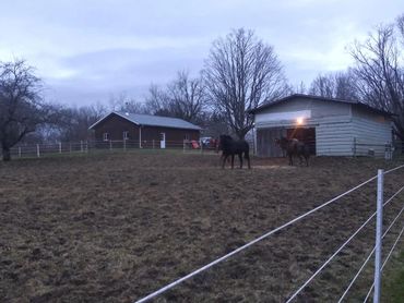 timeless fence, horse fence, livestock fence