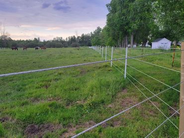 timeless fence, horse fence, livestock fence