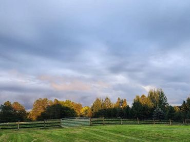 timeless fence, horse fence, livestock fence