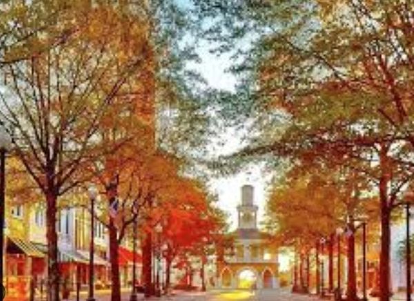 Historic Haymount Village streetscape in fall – Andy Anderson Moving Co. antique home movers 28305