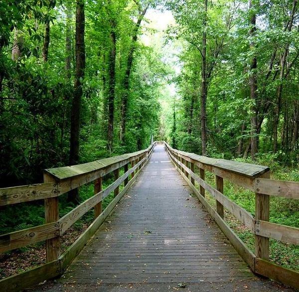 Cape Fear River Trail boardwalk – Andy Anderson Moving Co. serves Eastover and Vander, NC 28312