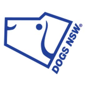 German shepherd puppies Australia