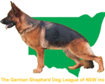 German shepherd puppies ACT