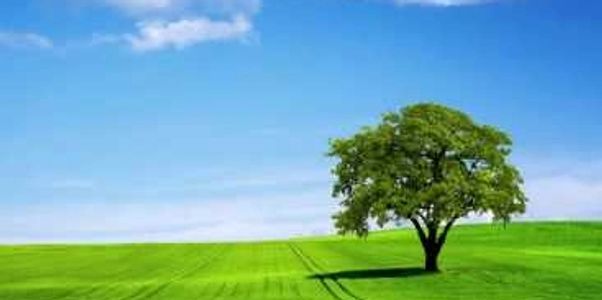 mental peace and calmness.