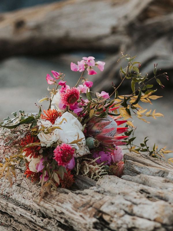 A vibrant bouquet of mixed flowers resting on weathered driftwood.
