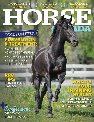 Bellerophon Equine Aromatherapy is a Canadian Global manufacturer of Equine Aromatherapy Products.