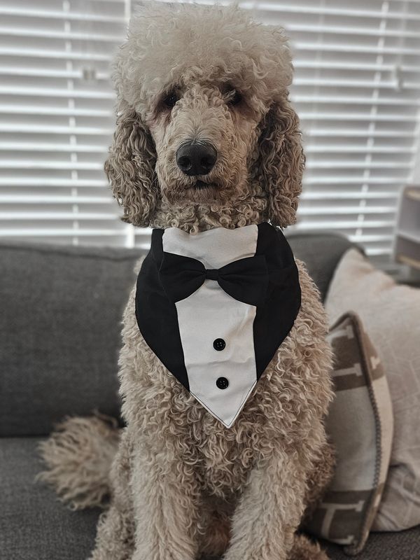 I was ready to go to my parents wedding but they didn't take me..