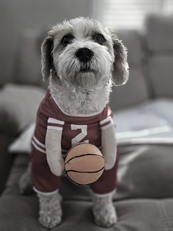 I don't like Basketball but I am forced to exercise...