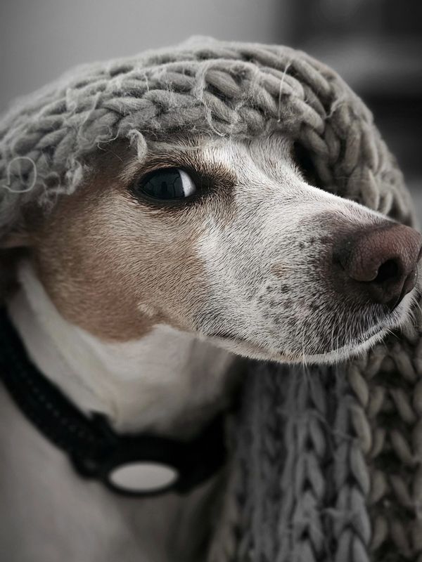 I am Carly! Don't mess with me I am posing..