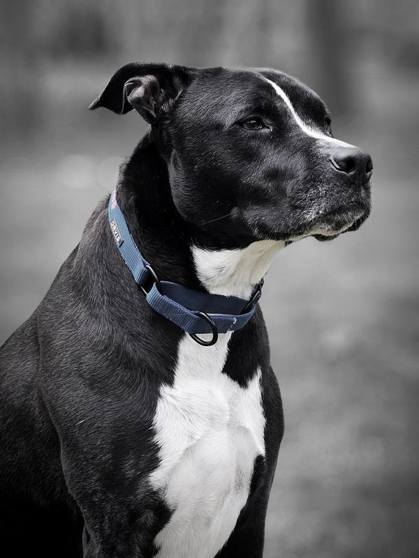 Yes I have a vision for the future..