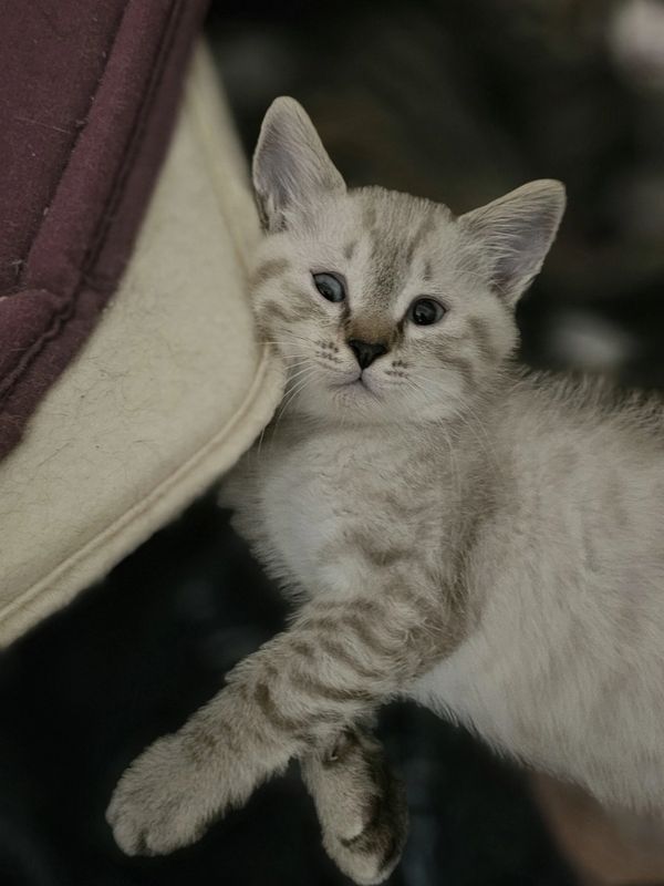 Crossed eyes so what! I am still so handsome...