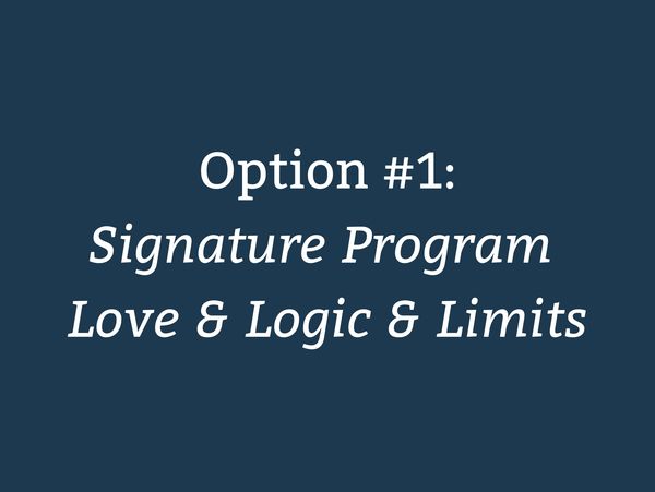 Text displaying "Option #1: Signature Program Love & Logic & Limits" on a dark blue background.