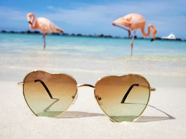 aruba flamingos