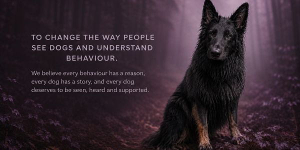 Zeus-inspired black German Shepherd sat in a woodland horizon, representing our mission Seeing Dogs