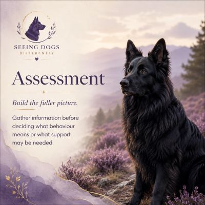 Zeus inspired image for assessment meaning of care framework