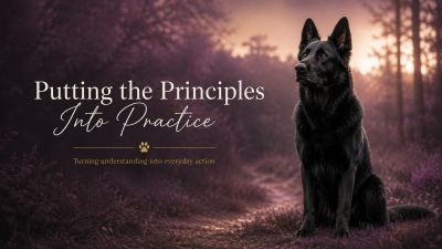 image of the putting the principles into practice