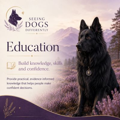 Zeus inspired image for education meaning of care framework