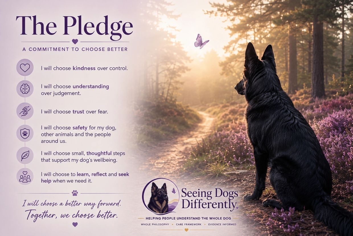 A pledge to choose kindness, trust, and safety for dogs and their wellbeing.