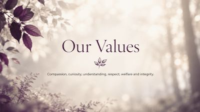image say our values
