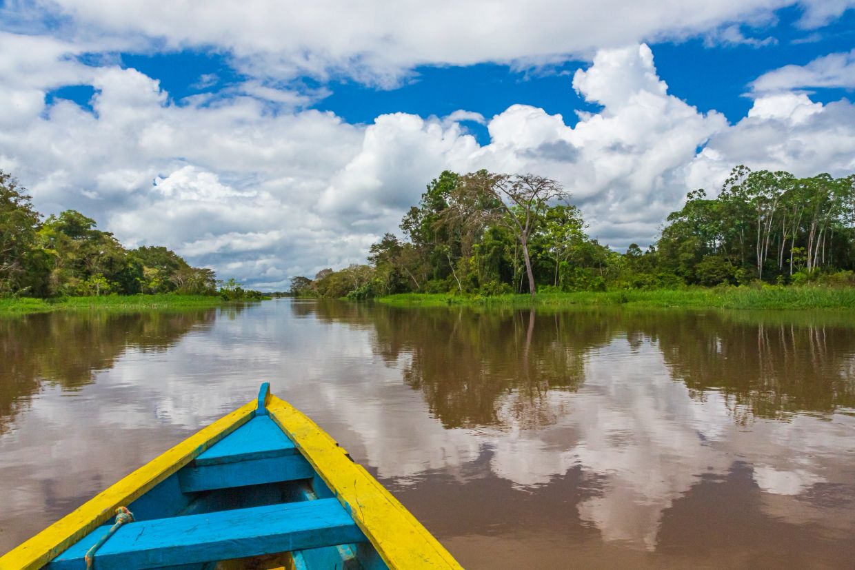 Bote azul y amarillo en río tranquilo con vegetación.