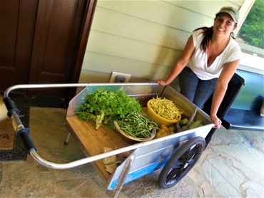 Daily fresh pesticide free produce