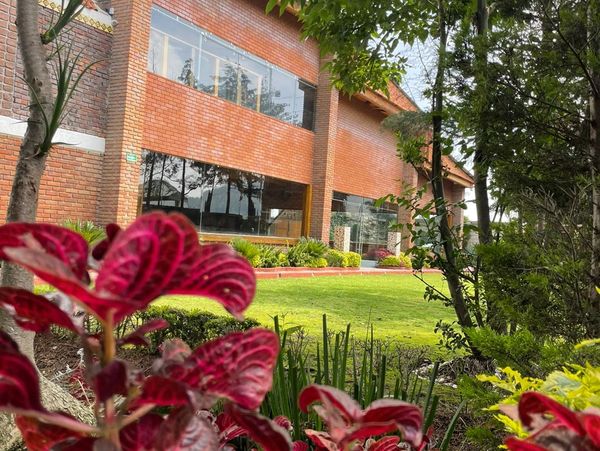 Casa de ladrillo con jardín y plantas rojas en primer plano.
