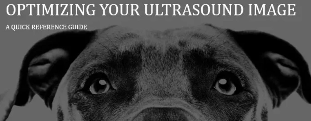 Free eBook
Optimizing Your Ultrasound Image