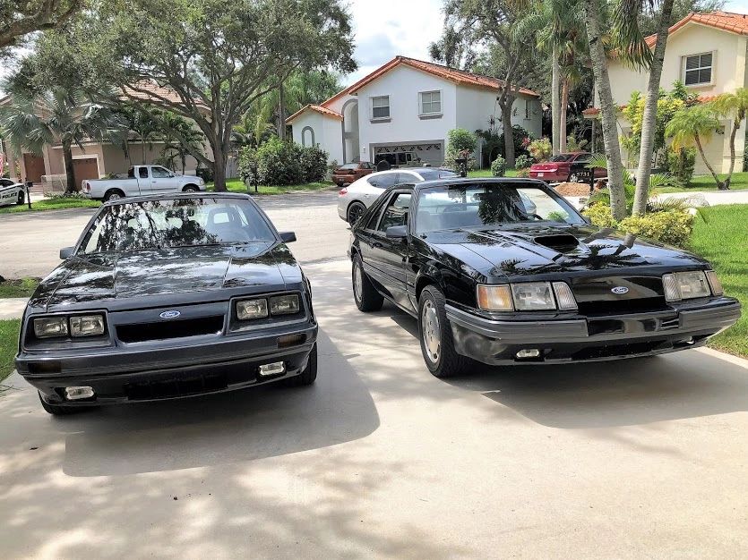 Marchal Fog Light Emblem Fox Body Mustang