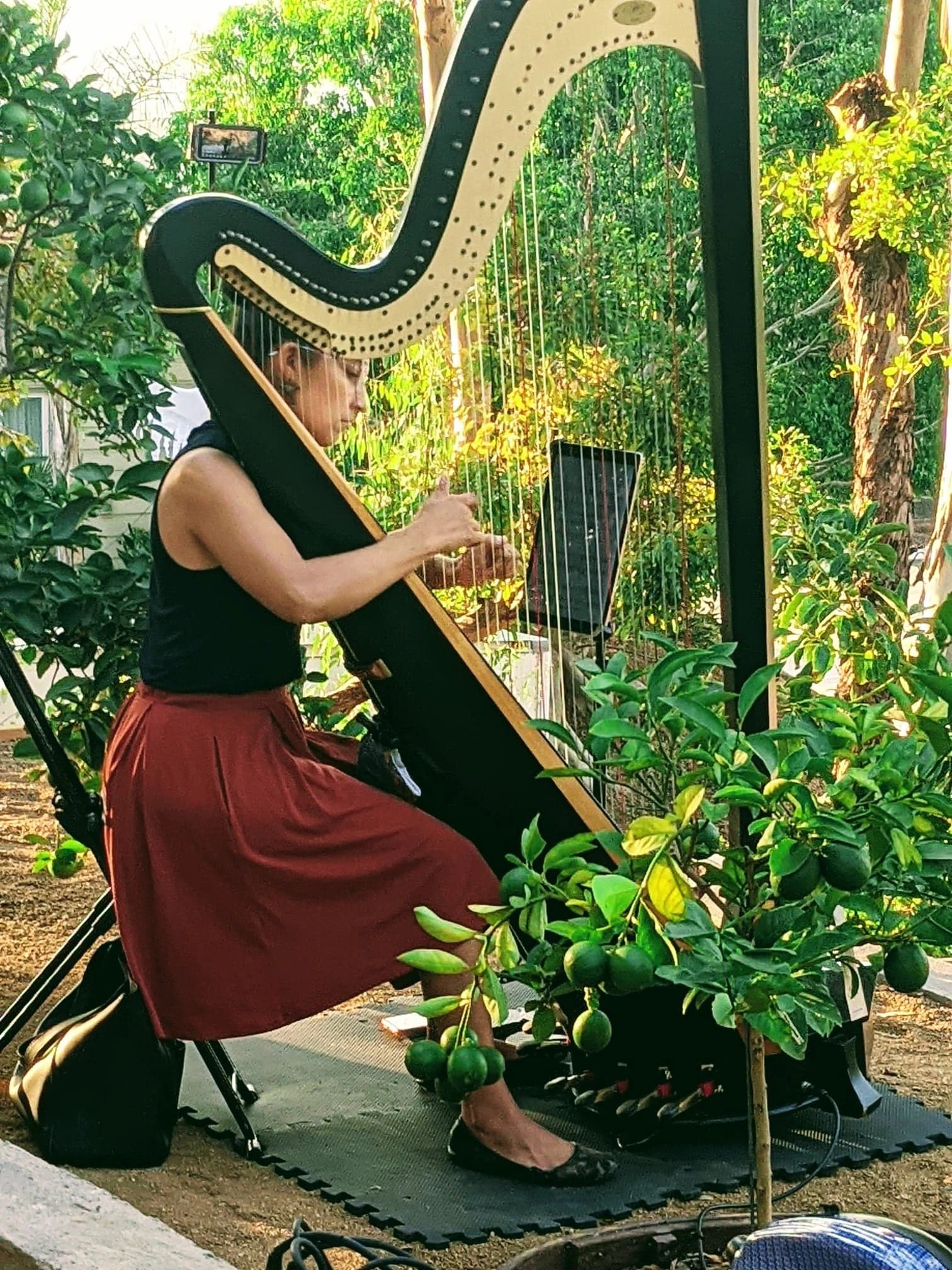 Patio Concerts. Covid-safe outdoor concerts by Tasha Smith Godinez.