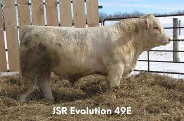 JSR Evolution 49E