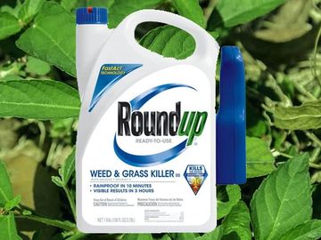 Rhode Island Roundup Weed Killer