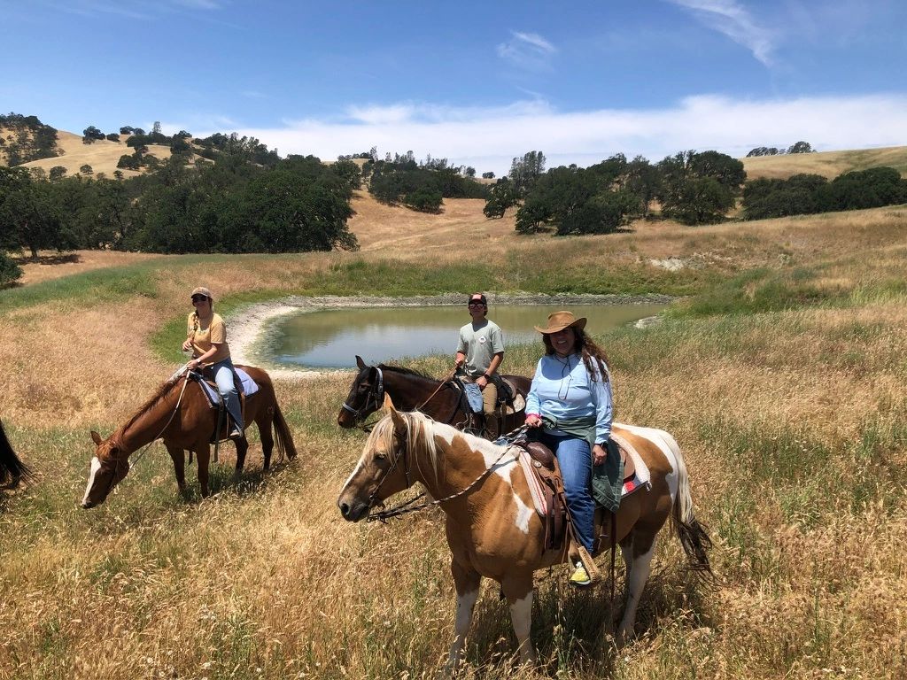 Horseback riding, Paso Robles, work family ranch
