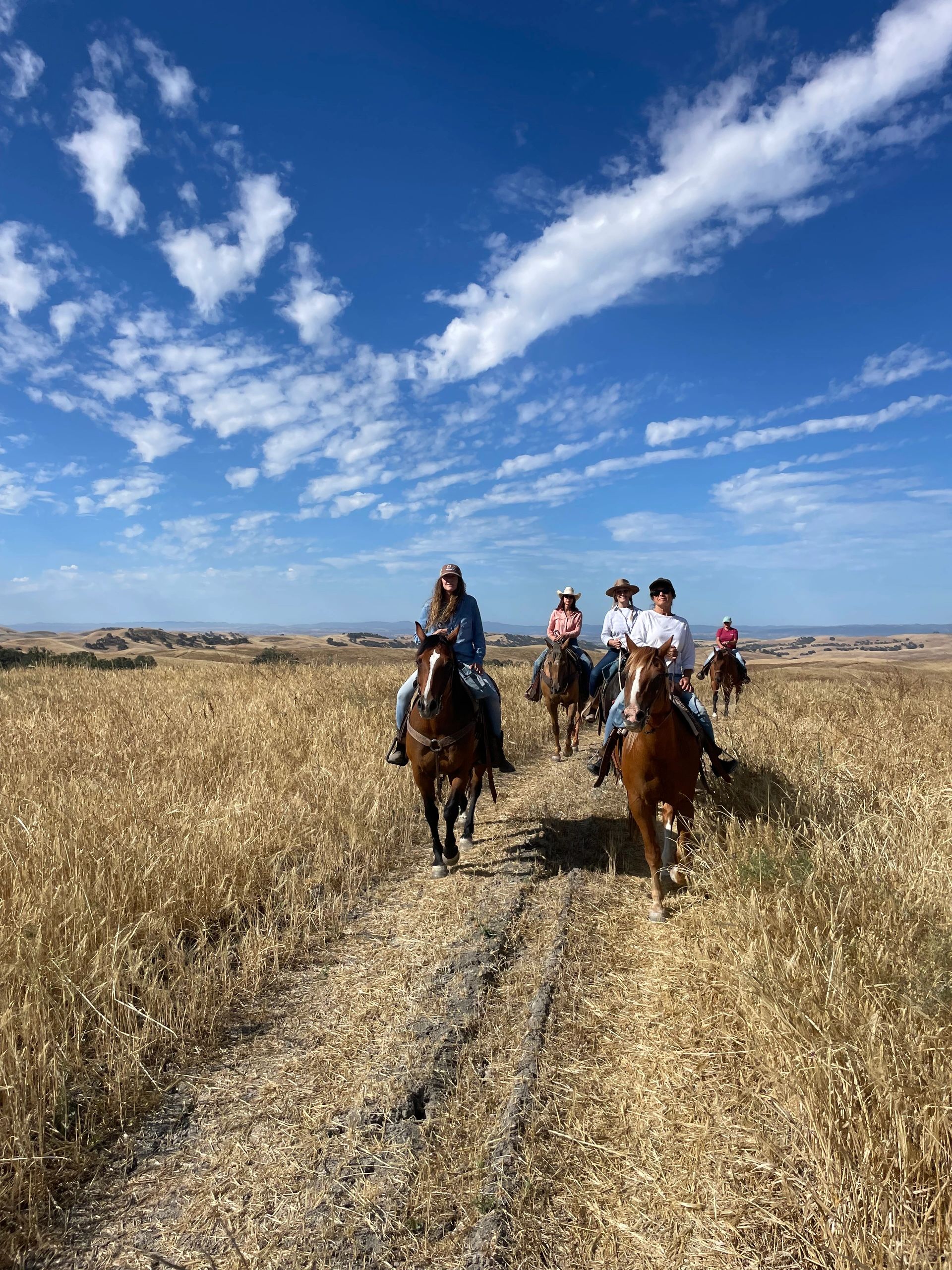 Horseback riding, Paso Robles, work family ranch