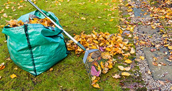 Raking and Composting Services